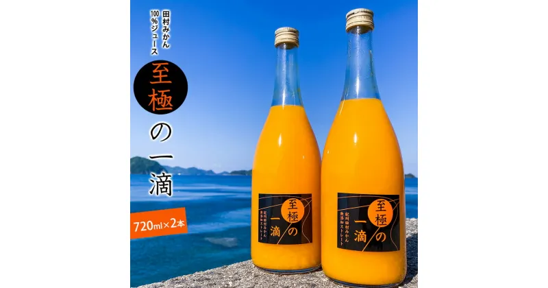 【ふるさと納税】田村みかんジュース 至極の一滴 720ml×2本【和歌山 ミカンジュース ストレート 果汁100% 有田みかん 田村みかん 無添加】