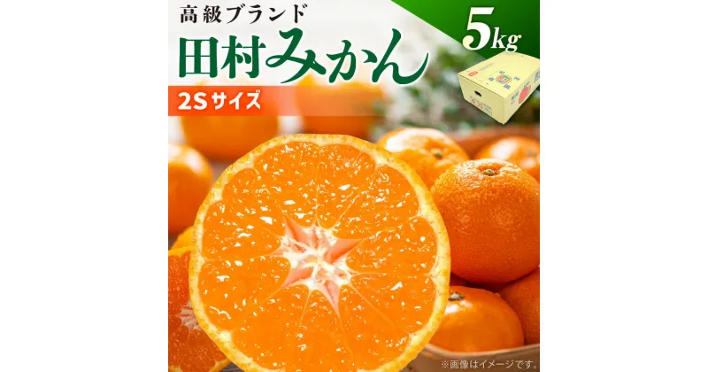 【ふるさと納税】【先行予約】有田みかん 秀品 約 5kg 2Sサイズ 高級ブランド 田村みかん 小玉 みかん 温州みかん フルーツ 果物 柑橘 果汁 ジューシー 赤秀品 青秀品 国産 食品 食べ物 期間限定 お取り寄せ 和歌山県 湯浅町 送料無料