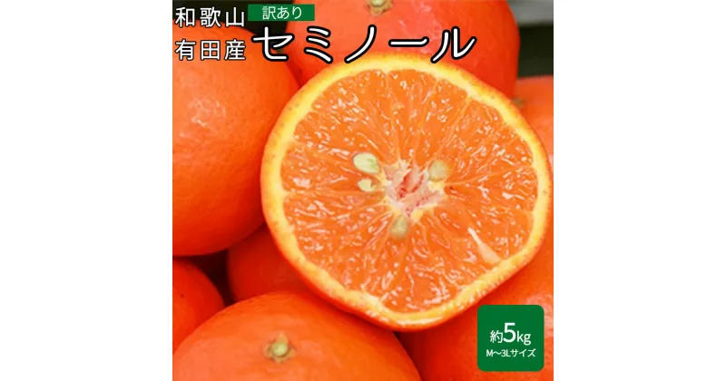 【ふるさと納税】【限定】 【2025年先行受付】産地厳選 セミノール 家庭用 約5kg(M～3Lサイズ)【紀州グルメ市場】【ミカン 蜜柑 春みかん 柑橘 オレンジ】