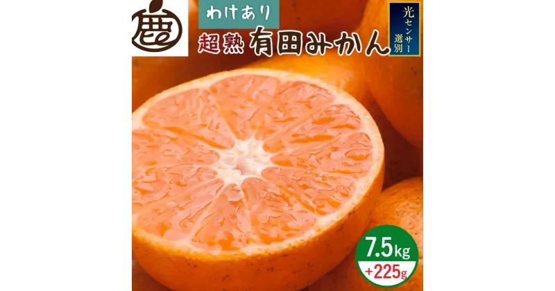 【ふるさと納税】【限定】 ＜11月より発送＞家庭用 超熟有田みかん7.5kg+225g（傷み補償分）【自分史上一番みかん】【わけあり・訳あり】【光センサー選果】