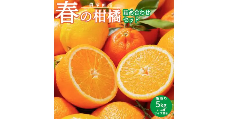 【ふるさと納税】春 柑橘 詰め合わせ 訳あり 5kg サイズ混合 2025年2月下旬より順次発送