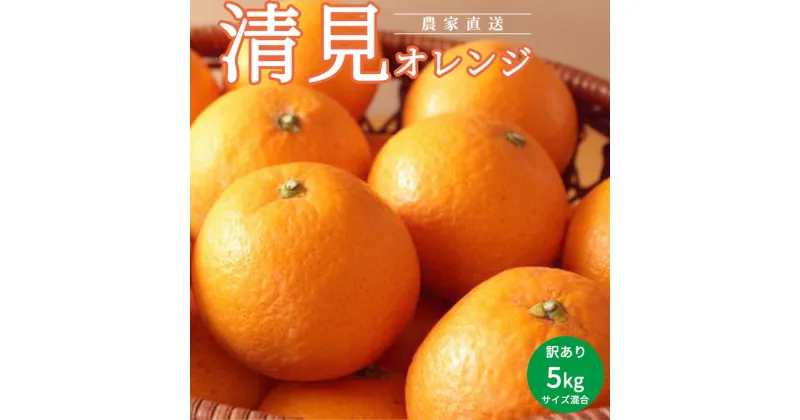 【ふるさと納税】訳あり 2025年2月下旬より順次発送 清見 オレンジ 約 5kg 大玉 小玉 サイズ混合 春の柑橘 清美オレンジ 甘味 酸味 新鮮 柑橘 果物 果実 デザート フルーツ 家庭用 農家直送 手選別 里美農園 食べ物 食品 お取り寄せ 和歌山県 湯浅町 送料無料