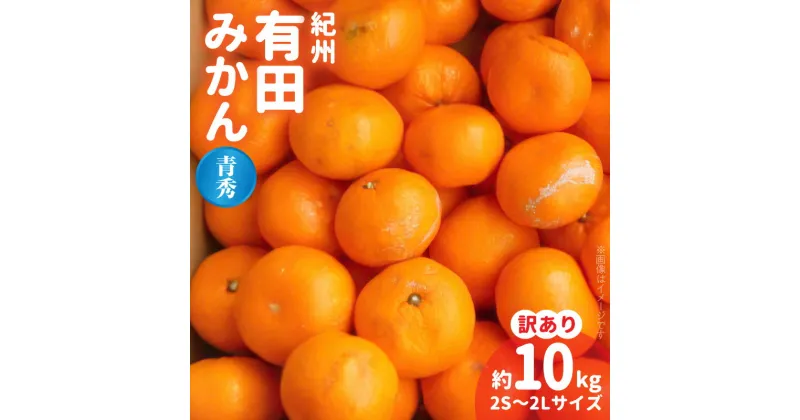 【ふるさと納税】紀州 有田みかん 約 10kg 2S～2Lサイズいずれか【訳あり 家庭用】【青秀・良】【ミカン 蜜柑 柑橘 温州みかん 有田みかん】