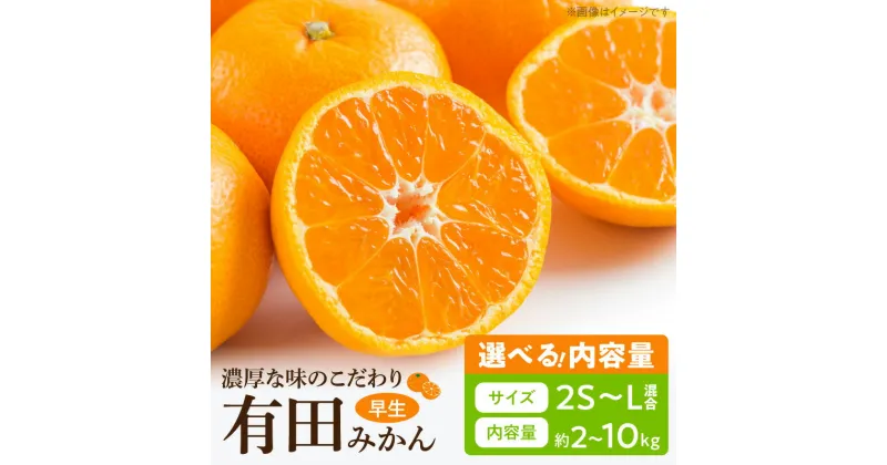 【ふるさと納税】濃厚な味わいのこだわり 有田みかん 容量選べる 2kg～10kg (早生みかん・大小混合)