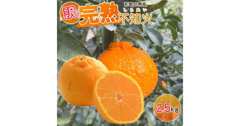 【ふるさと納税】【訳あり・ご家庭用】 和歌山県産 完熟 不知火 2.5kg 甘酸っぱい味わいと芳醇な風味がたまらない高級柑橘!