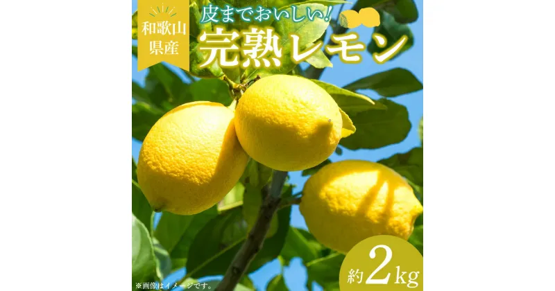 【ふるさと納税】和歌山県産 完熟 レモン 2kg 皮まで使用可能（栽培期間中農薬不使用）