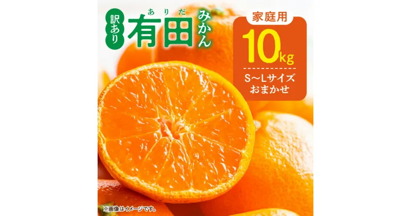 【ふるさと納税】【限定】 【先行予約】ご家庭用 有田みかん 和歌山 S～Lサイズ 大きさお任せ 10kg【ミカン 蜜柑 柑橘 温州みかん 和歌山 有田 訳あり 】