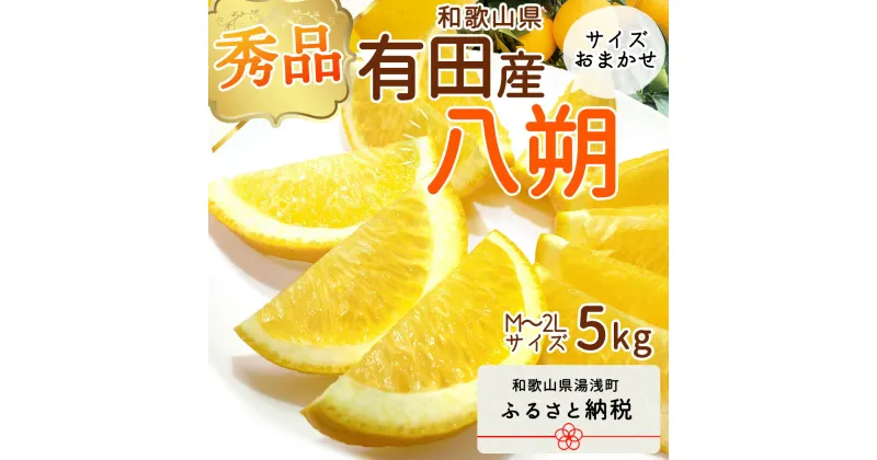 【ふるさと納税】【限定】 【先行予約】和歌山県有田産 八朔 5kg 秀品 (M～2Lサイズおまかせ)