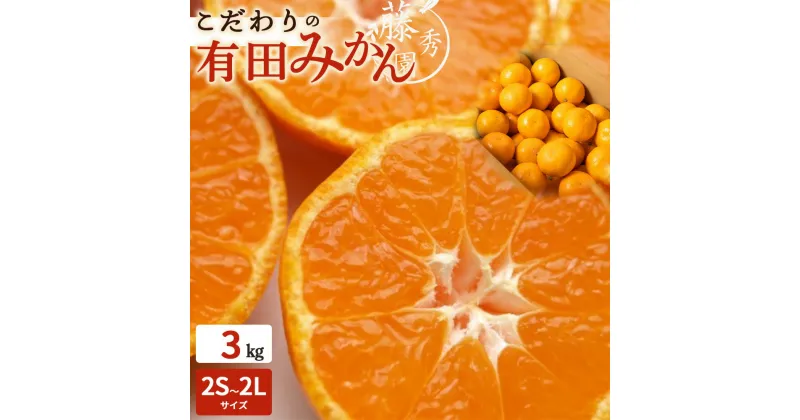 【ふるさと納税】【限定】 こだわりの 有田みかん 3kg 藤秀園 【ミカン 蜜柑 柑橘 温州みかん 和歌山 有田 楽天限定】【ミカン 蜜柑 柑橘 温州みかん 和歌山 有田】