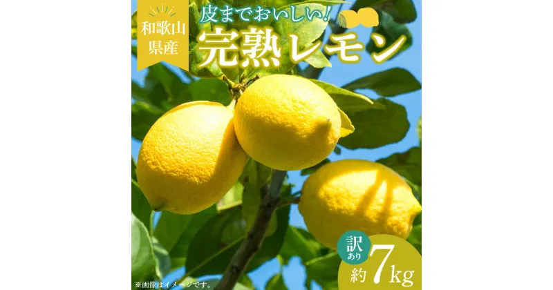 【ふるさと納税】【訳あり・ご家庭用】完熟 レモン 7kg 皮まで使用可能（栽培期間中農薬不使用）