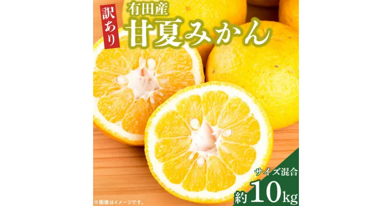 【ふるさと納税】【先行予約】有田産訳ありご家庭用甘夏みかん約10kg（サイズ混合）【甘夏みかん 和歌山県湯浅町】