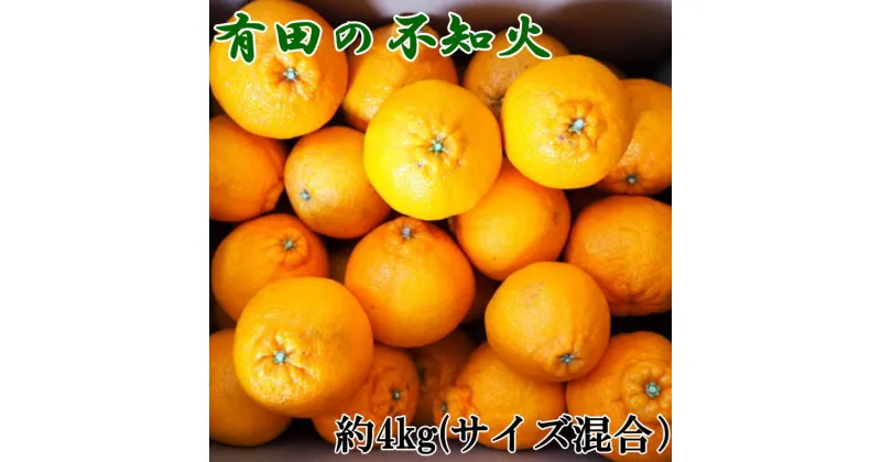 【ふるさと納税】【限定】 【濃厚】有田産 不知火 約4kg （M～3Lサイズ混合）【不知火/和歌山県有田】