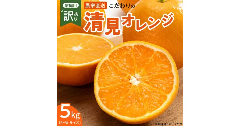 【ふるさと納税】【限定】 こだわりの 清見 オレンジ 【訳あり 家庭用】 5kg 藤秀園 【ミカン 蜜柑 柑橘 温州みかん 和歌山 有田 楽天限定】【清見 みかん オレンジ タンゴール きよみ 柑橘 和歌山】