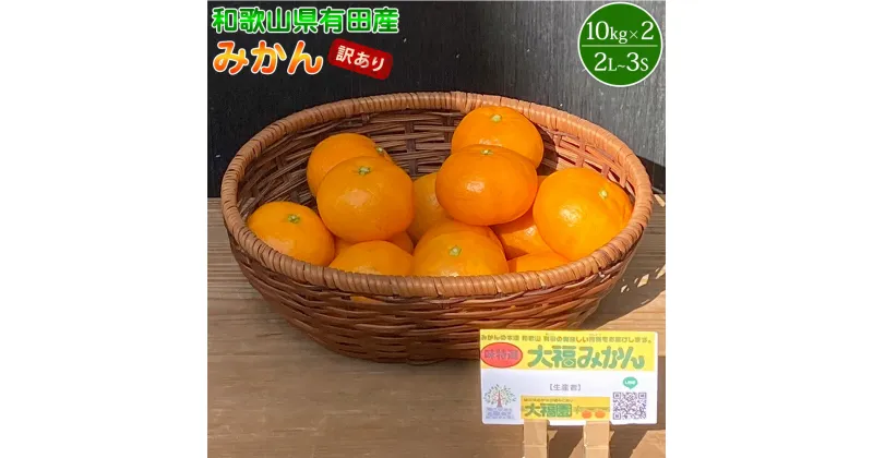 【ふるさと納税】和歌山県有田産 みかん 10kg×2箱 2L～3Sサイズ（おまかせ） 【訳あり・家庭用】【みかん ミカン 蜜柑 柑橘 温州みかん 和歌山 有田みかん】