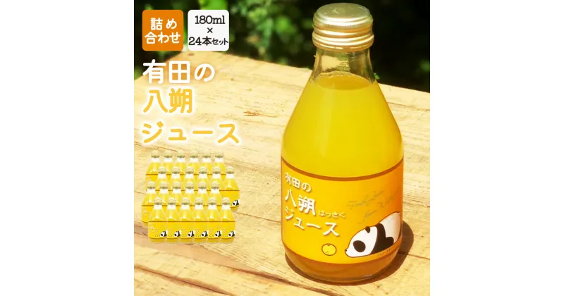 【ふるさと納税】有田の 八朔ジュース 180ml×24本セット【和歌山 はっさくジュース ストレート 無添加 果汁100% 有田】