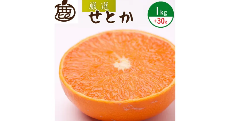 【ふるさと納税】【限定】 ＜2月より発送＞厳選 せとか1kg+30g（傷み補償分）【柑橘・春みかんの王様】【光センサー選別】