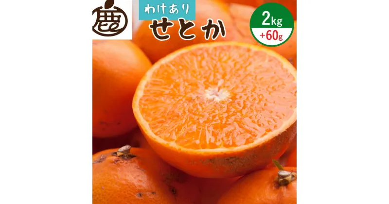 【ふるさと納税】【限定】 ＜2月より発送＞家庭用 せとか2kg+60g（傷み補償分）【柑橘・春みかんの王様】【わけあり・訳あり】【光センサー選別】