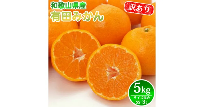 【ふるさと納税】ご家庭用 有田みかん 箱込み 5kg サイズ混合