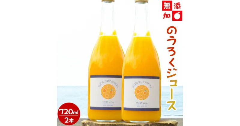 【ふるさと納税】【2本セット】和歌山県産 のうろくジュース 720ml ×2【添加物・保存料不使用】