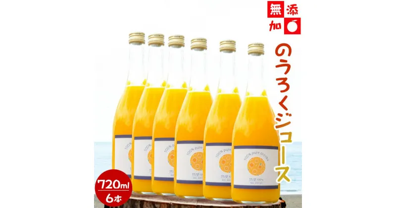 【ふるさと納税】【6本セット】和歌山県産 のうろくジュース 720ml ×6本【添加物・保存料不使用】