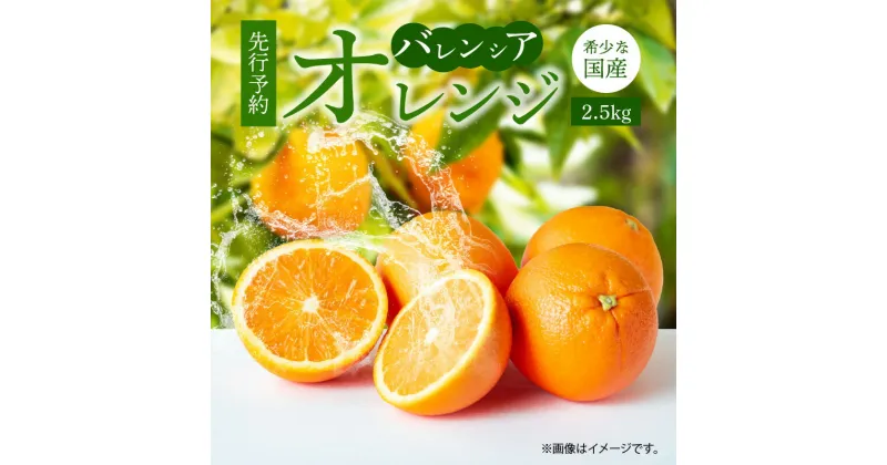 【ふるさと納税】【限定】 【先行予約】希少な 国産 バレンシアオレンジ 2.5kg 秀品【国産オレンジ オレンジ 柑橘 フルーツ 和歌山 有田】