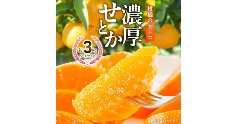 【ふるさと納税】【限定】 せとか 約3kg (S～Lサイズ) 【紀州グルメ市場】【ミカン 蜜柑 せとか 柑橘】