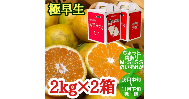 【ふるさと納税】ちょっと 傷あり 極早生 みかん 有田 M～SSサイズ 約2kg × 2箱 手さげ箱 南泰園【ミカン 蜜柑 柑橘 温州みかん 和歌山 有田】