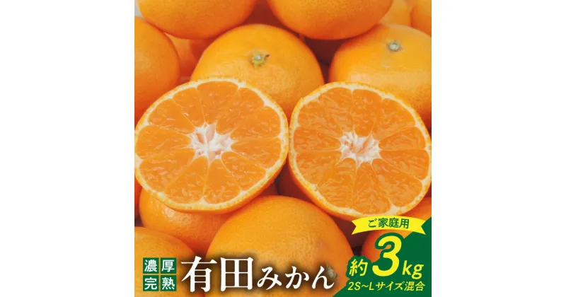 【ふるさと納税】【限定】北真農園 有田みかん 家庭用 3kg 濃厚完熟 お試しサイズ （ご家庭用　2Sサイズ～Lサイズ混合）ORYY推奨