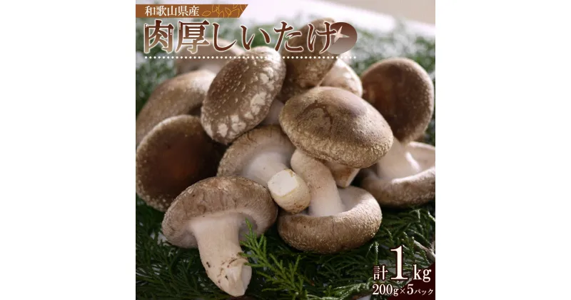 【ふるさと納税】最高級 肉厚椎茸 清流椎茸 1kg (200g×5パック)【しいたけ シイタケ 椎茸 生椎茸 国産 和歌山産】