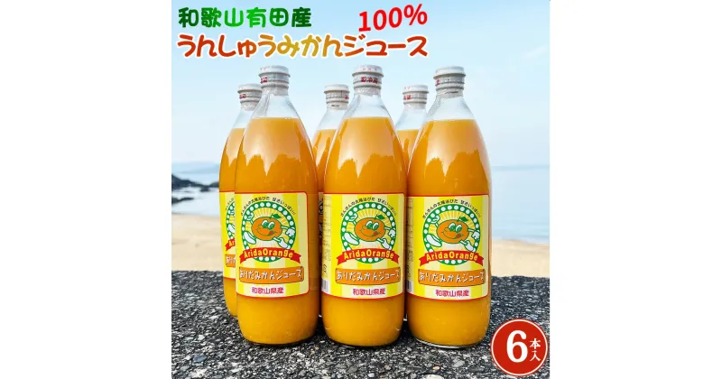 【ふるさと納税】和歌山有田産100% うんしゅうみかんジュース 970ml × 6本セット【和歌山 ミカンジュース ストレート 果汁100%】