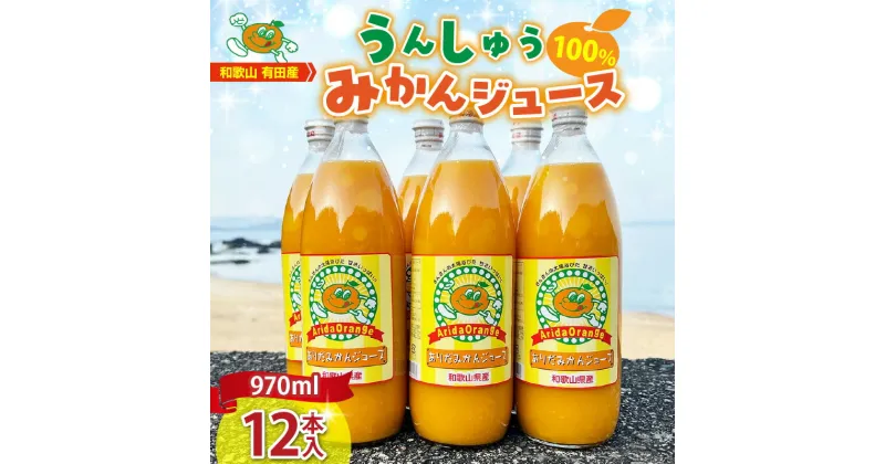 【ふるさと納税】和歌山有田産100% うんしゅうみかんジュース 970ml × 12本セット【和歌山 ミカンジュース ストレート 果汁100%】