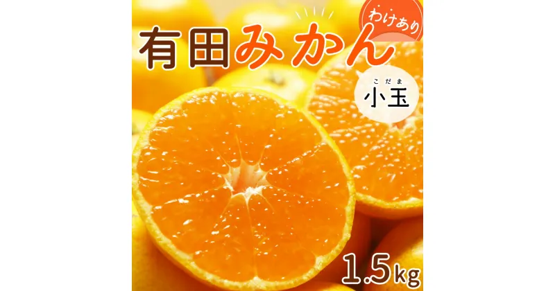 【ふるさと納税】【限定】 【2024年 先行予約】和歌山県産 有田みかん 小玉 1.5kg 訳あり【ミカン 蜜柑 柑橘 温州みかん 和歌山 有田 】