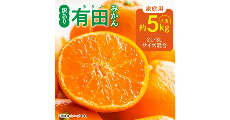 【ふるさと納税】【限定】 【先行予約】ご家庭用 有田みかん 和歌山 大玉(2L,3Lサイズ混合) 5kg