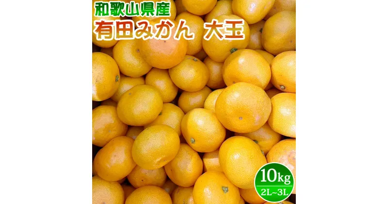 【ふるさと納税】【限定】 【先行予約】ご家庭用　有田みかん 大玉(2L,3Lサイズ混合) 10kg