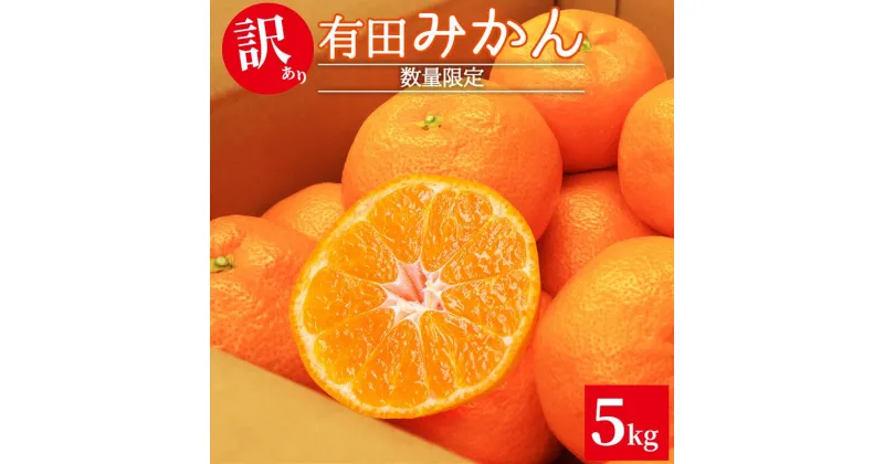 【ふるさと納税】【限定】 有田みかん 5kg ご家庭用【ミカン 蜜柑 柑橘 温州みかん 有田みかん 和歌山】