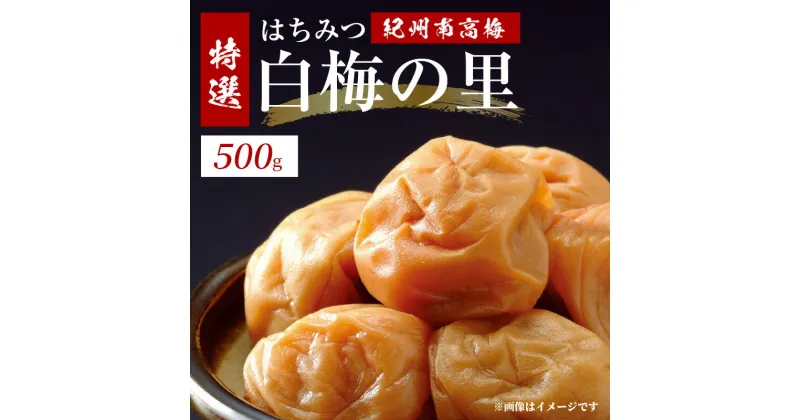 【ふるさと納税】特選 紀州南高梅 梅干し「白梅の里」はちみつ 500g【梅干 うめぼし 南高梅 はちみつ梅 蜂蜜 和歌山】