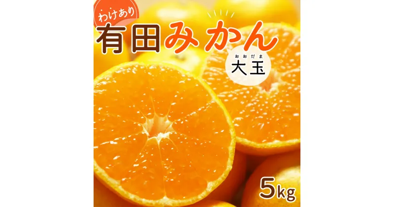 【ふるさと納税】【限定】 【2024年 先行予約】和歌山県産 有田みかん 大玉5kg 2L～3L 訳あり