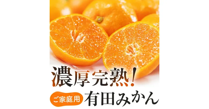 【ふるさと納税】有田育ちの ご家庭用 完熟 有田みかん 10kg【農家直送】【訳あり】 【ミカン 蜜柑 オレンジ 柑橘 温州みかん 和歌山 有田】