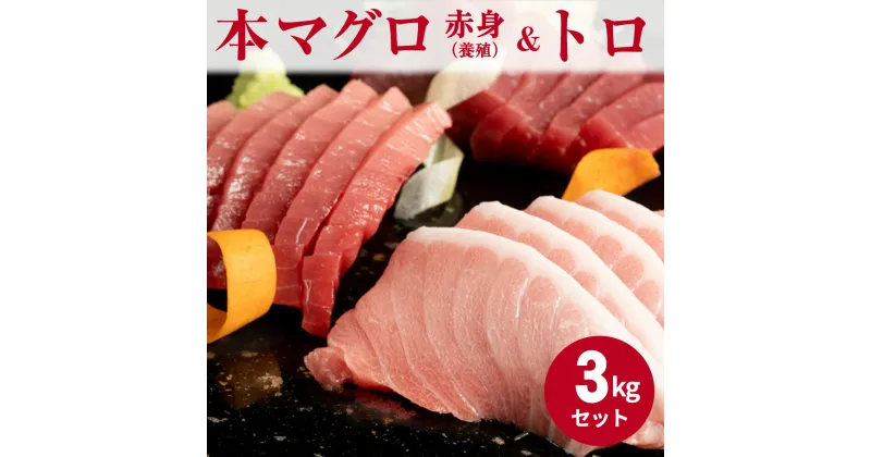 【ふるさと納税】【年末限定発送】本マグロ (養殖) 赤身 ＆ トロ セット 3kg【まぐろ 鮪 刺身 海鮮 冷凍】