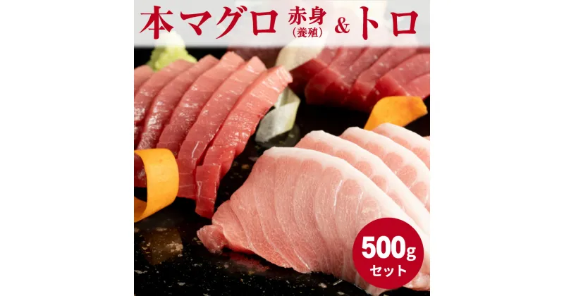 【ふるさと納税】【年末限定発送】本マグロ (養殖) 赤身 ＆ トロ セット 500g【まぐろ 鮪 刺身 海鮮 冷凍】