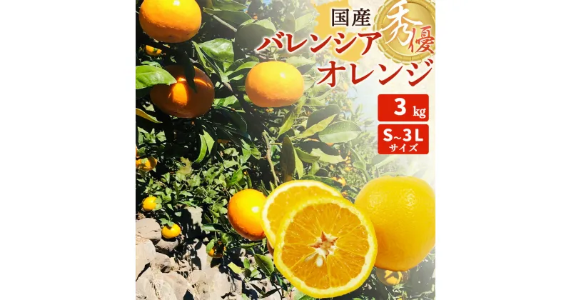 【ふるさと納税】【限定】 【先行予約】国産 バレンシアオレンジ 秀優 3kg S～3Lサイズ【バレンシア オレンジ 国産オレンジ 柑橘 和歌山 有田】