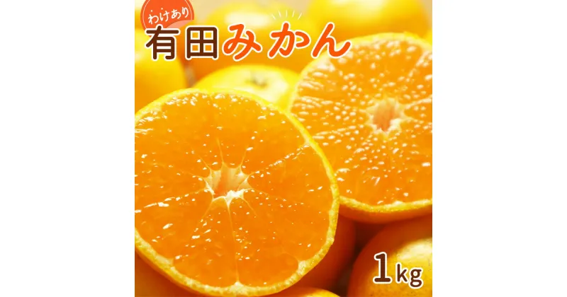 【ふるさと納税】【2024年 先行予約】和歌山県産 有田みかん 1kg 訳あり【ミカン 蜜柑 柑橘 温州みかん 和歌山 有田 】