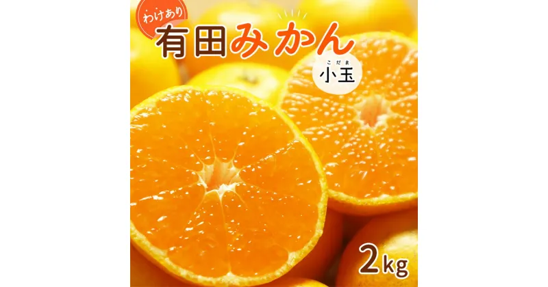 【ふるさと納税】【2024年 先行予約】和歌山県産 有田みかん 小玉 2kg 訳あり【ミカン 蜜柑 柑橘 温州みかん 和歌山 有田 】