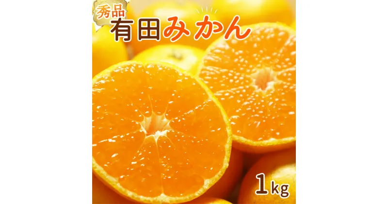 【ふるさと納税】【2024年 先行予約】和歌山県産 有田みかん 1kg 秀品【ミカン 蜜柑 柑橘 温州みかん 和歌山 有田 】