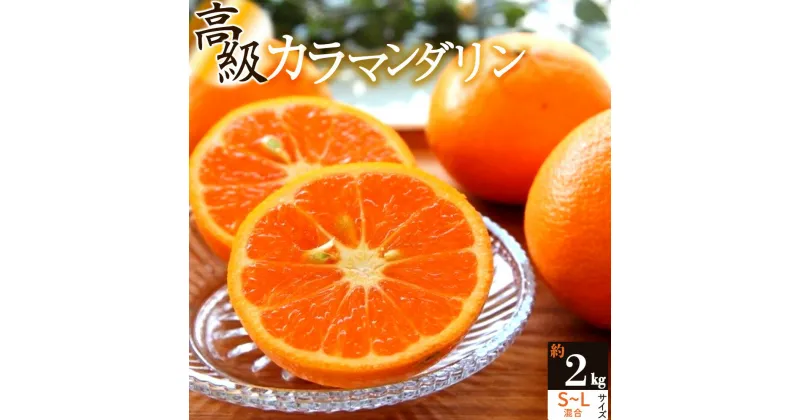 【ふるさと納税】【限定】 【先行予約】主井農園 高級 カラマンダリン 2kg サイズ混合【ミカン 蜜柑 春みかん 柑橘】