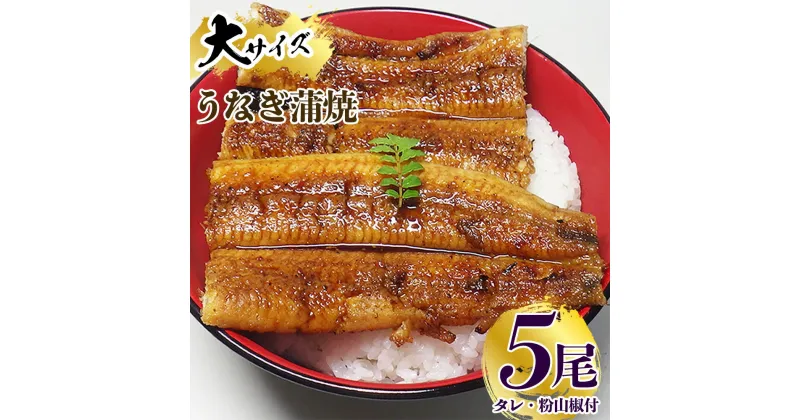 【ふるさと納税】炭焼き うなぎ 蒲焼 大サイズ 5尾 セット（約150～199g×5尾）タレ・粉山椒付き　国産鰻　冷凍ウナギ　1尾ずつ真空パック　土用の丑の日　紀伊国屋文左衛門本舗