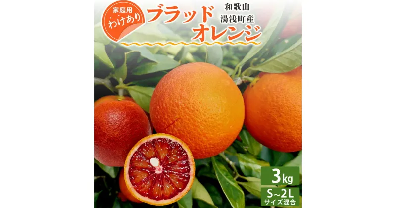 【ふるさと納税】【訳あり 家庭用】和歌山 湯浅町産 ブラッドオレンジ 3kg（S～2Lサイズ混合）＜2025年4月発送＞