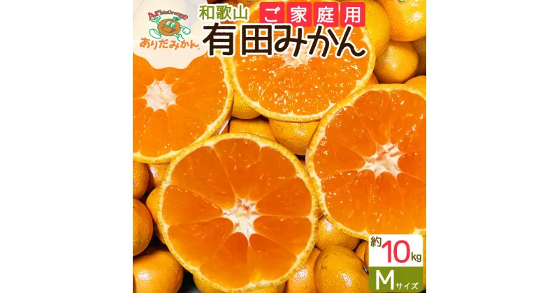 【ふるさと納税】【先行予約】【ご家庭用】有田みかん約10kg Mサイズ【湯浅町】【ミカン 蜜柑 柑橘 温州みかん 有田みかん 和歌山】