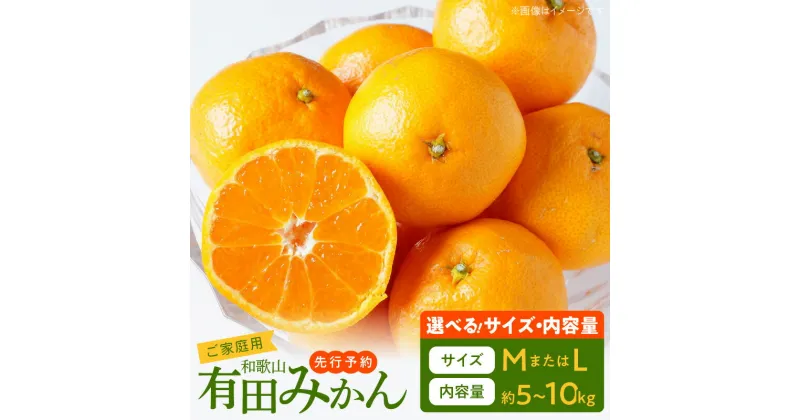 【ふるさと納税】【先行予約】【ご家庭用】有田みかん 選べるサイズ&容量 約 5kg 10kg Mサイズ Lサイズ【湯浅町】【ミカン 蜜柑 柑橘 温州みかん 有田みかん 和歌山】