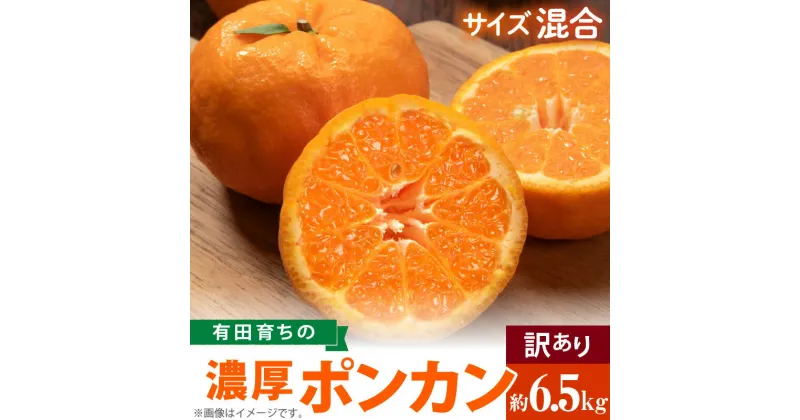 【ふるさと納税】先行予約 ポンカン 6.5kg 訳あり 和歌山県 有田産 サイズ混合 極甘柑橘 濃厚 家庭用 甘味が強い 酸味少ない 人気品種 ジューシー みかん 柑橘 フルーツ 果物 お取り寄せ お取り寄せフルーツ 湯浅町 送料無料